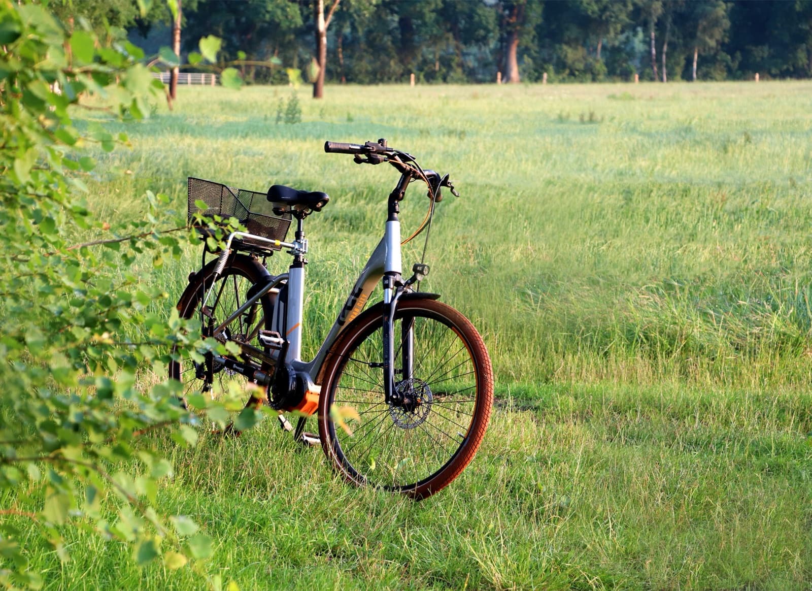 Verkaufsangebot eines grauen City-E-Bikes auf einem Kleinanzeigen-Portal